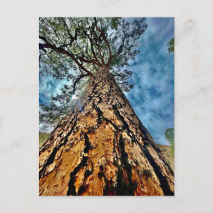 Carte Postale Arbre de vie