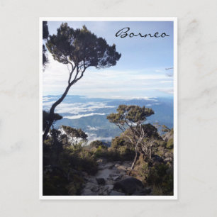 Carte Postale arbre de vue kinabalu