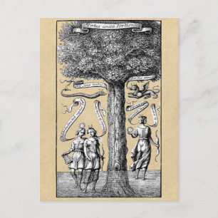 Carte Postale Arbre des opposants unis en alchimie