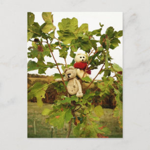 Carte Postale Arbre d'escalades Frank&Lennart