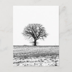 Carte Postale Arbre d'hiver