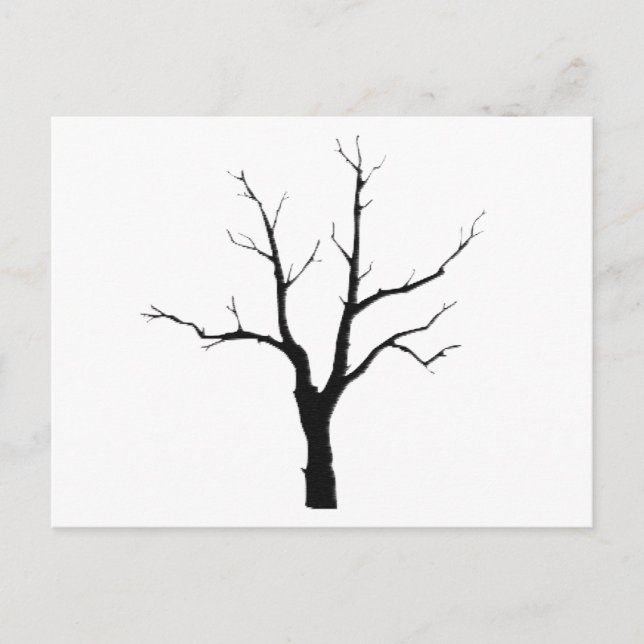 Carte Postale Arbre d'hiver Jeu noir et blanc (Devant)
