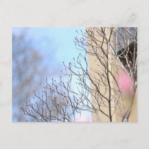 Carte Postale Arbre du début du printemps