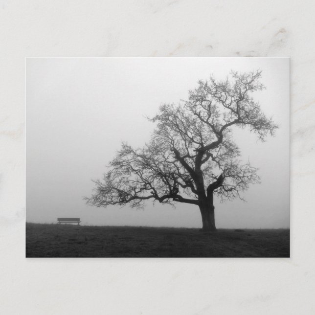 Carte Postale Arbre et banc dans le brouillard (Devant)