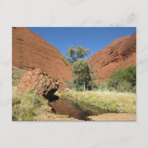 Carte Postale arbre kata tjuta