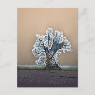 CARTE POSTALE ARBRE LONE