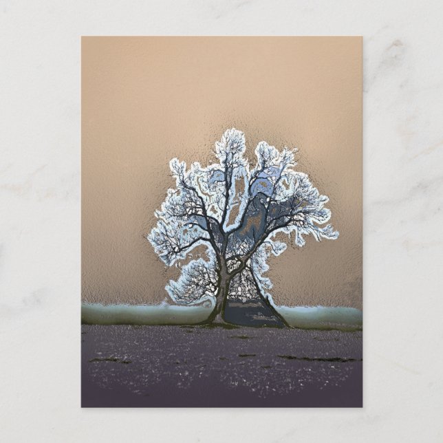 CARTE POSTALE ARBRE LONE (Devant)
