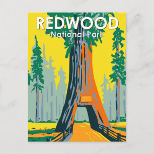 Carte Postale Arbre lustre du parc national de Redwood Vintage