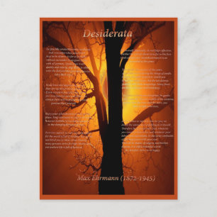 Carte Postale Arbre orange