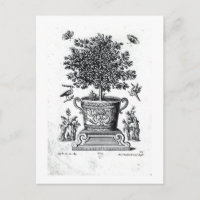 Arbre ornemental dans une urne sur une petite scèn