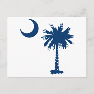 Carte Postale Arbre Palmetto