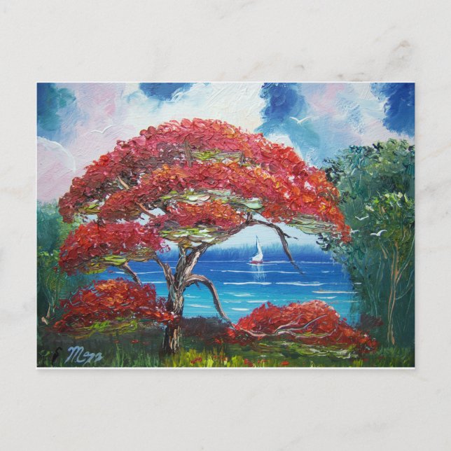 Carte Postale Arbre Royal Poinciana en floraison et voilier (Devant)
