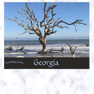 Carte Postale Arbre sans feuilles en Géorgie Géorgie USA USA