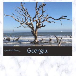 Carte Postale Arbre sans feuilles en Géorgie Géorgie USA USA