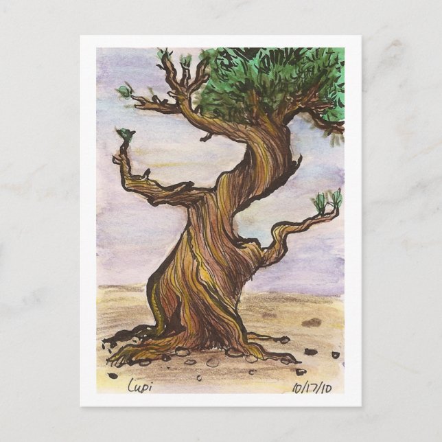 Carte postale Arbre torsadée (Devant)