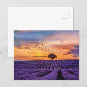 Carte Postale Arbre Unique D'Art D'Origine Paysage Pacifique   