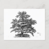 Arbre vintage Ephémère Découpage Art