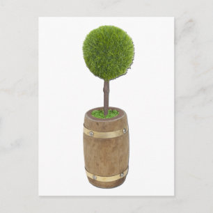 Carte Postale ArbrePlantedPluieBaril050811