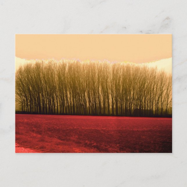 Carte Postale arbres (Devant)