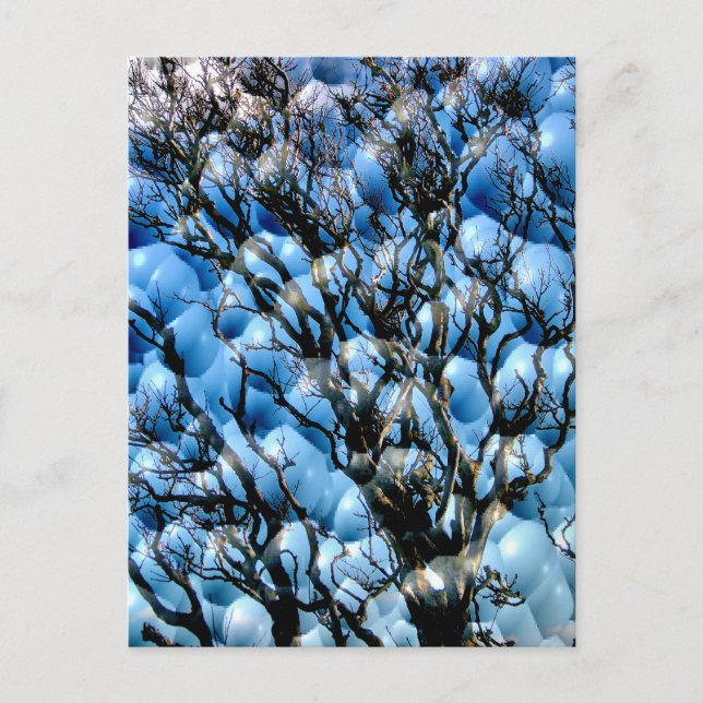 CARTE POSTALE ARBRES (Devant)