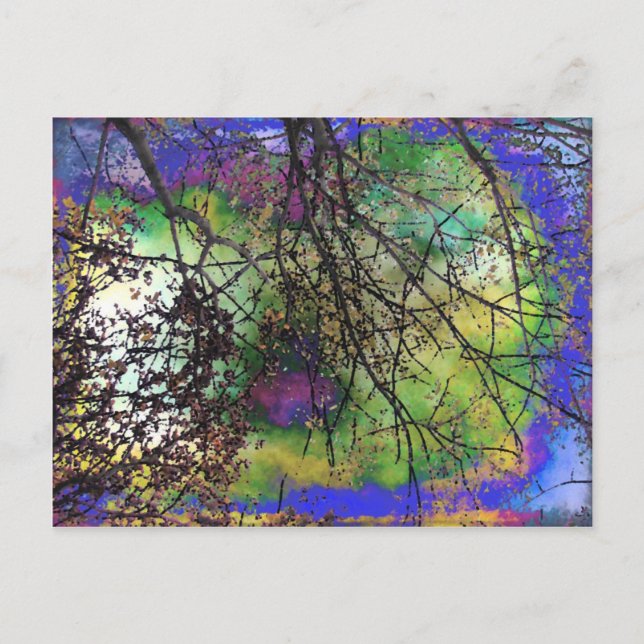 Carte Postale Arbres (Devant)