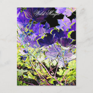 CARTE POSTALE ARBRES