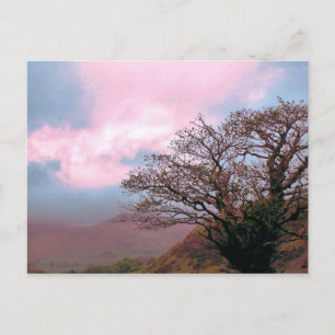 CARTE POSTALE ARBRES