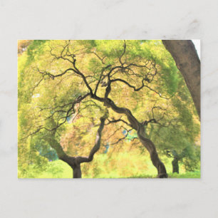 Carte Postale arbres