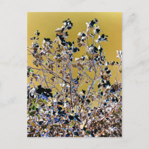 CARTE POSTALE ARBRES