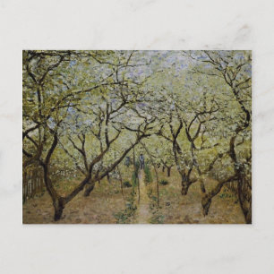 Carte Postale Arbres à fleurs