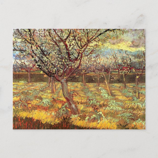 Carte Postale Arbres abricot en fleurs par Vincent van Gogh (Devant)