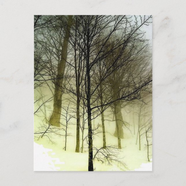 Carte Postale Arbres couverts de neige (Devant)