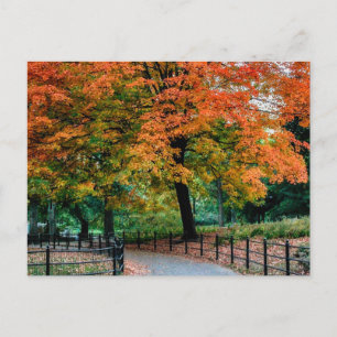 Carte Postale Arbres d'automne à Central Park Photo