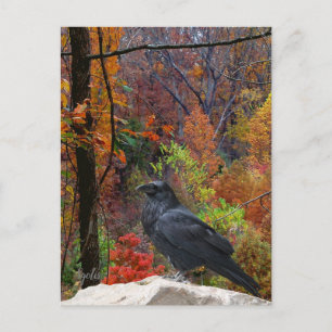 Carte Postale Arbres d'automne avec Corbeau saisonnier