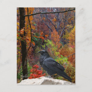 Carte Postale Arbres d'automne avec Corbeau Saisonnière