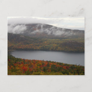 Carte Postale Arbres d'automne de l'Acadie