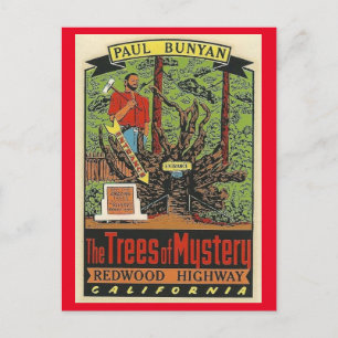 Carte Postale Arbres de Mystère Redwood Highway California Postc