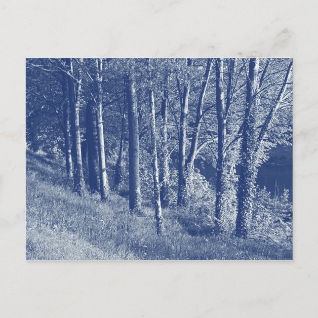 Carte Postale Arbres d'une rivière - Effet Cyanotype (Devant)