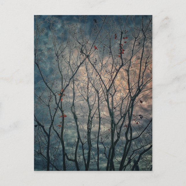 Carte Postale Arbres éffrayants (Devant)