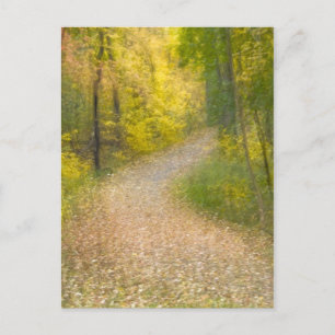 Carte Postale Arbres en couleurs d'automne et chemin recouvert d