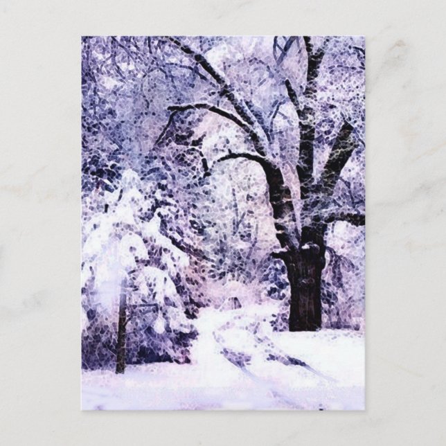 Carte Postale Arbres en neige (Devant)