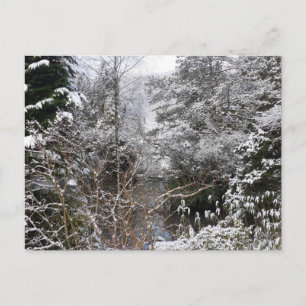 Carte Postale Arbres neigeux plats