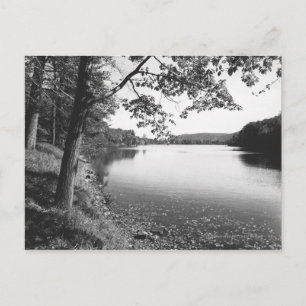 Carte Postale Arbres par rivière B&W