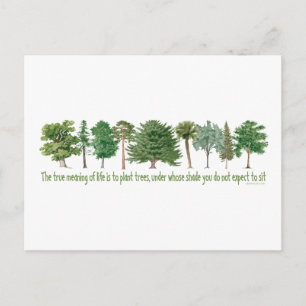 Carte Postale Arbres plantes - Arbre, Gros