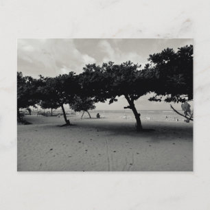 Carte Postale Arbres sur la plage de Sanur à Bali