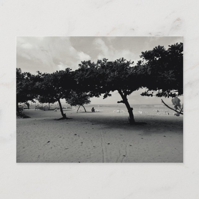 Carte Postale Arbres sur la plage de Sanur à Bali (Devant)