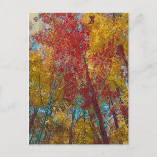 Carte Postale Arbres turquoises et aurifères