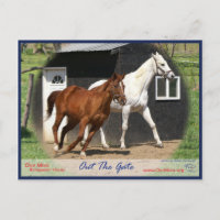 Arc Bars Miss et Bel's Starlet Postcard