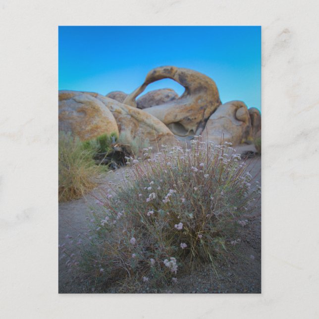 Carte Postale Arc des collines de l'Alabama (Devant)