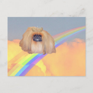 Carte Postale Arc en ciel de Pekingese